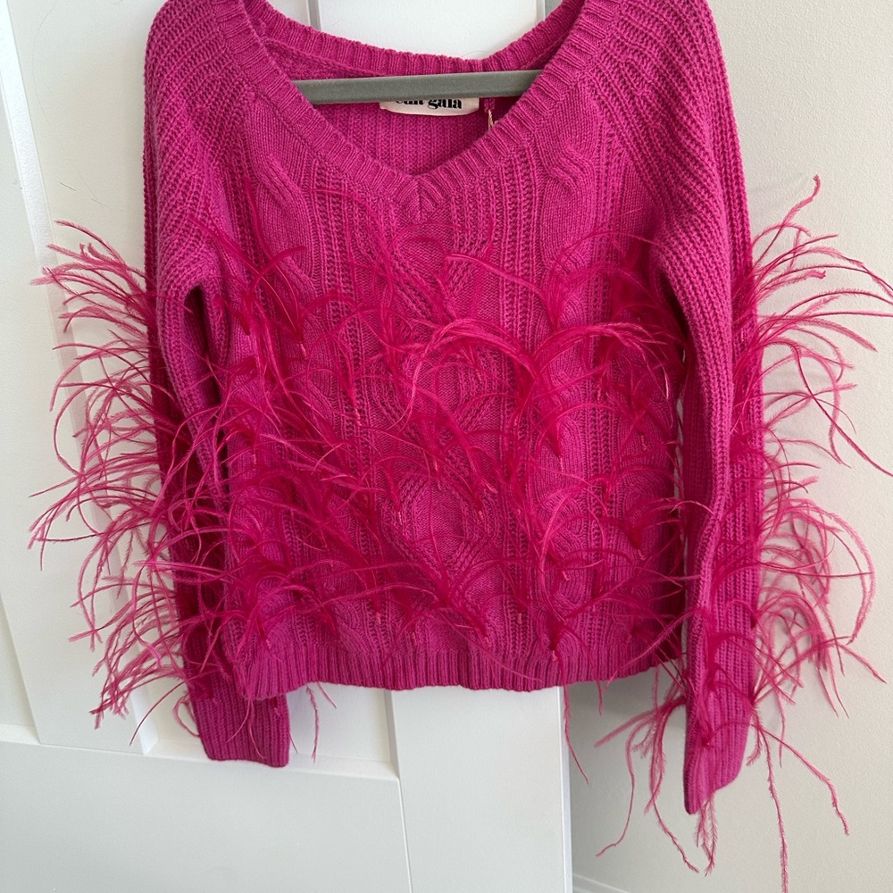 Cult Gaia Feathered Sweater
